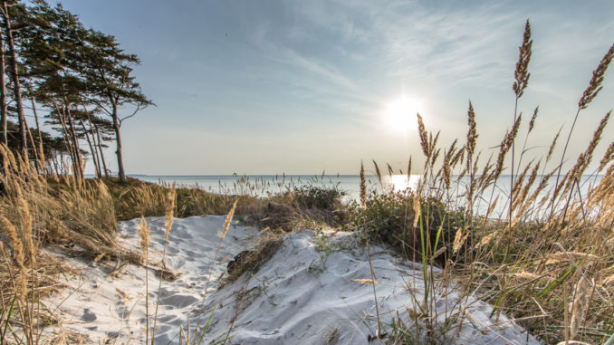 Winter in Nordjütland