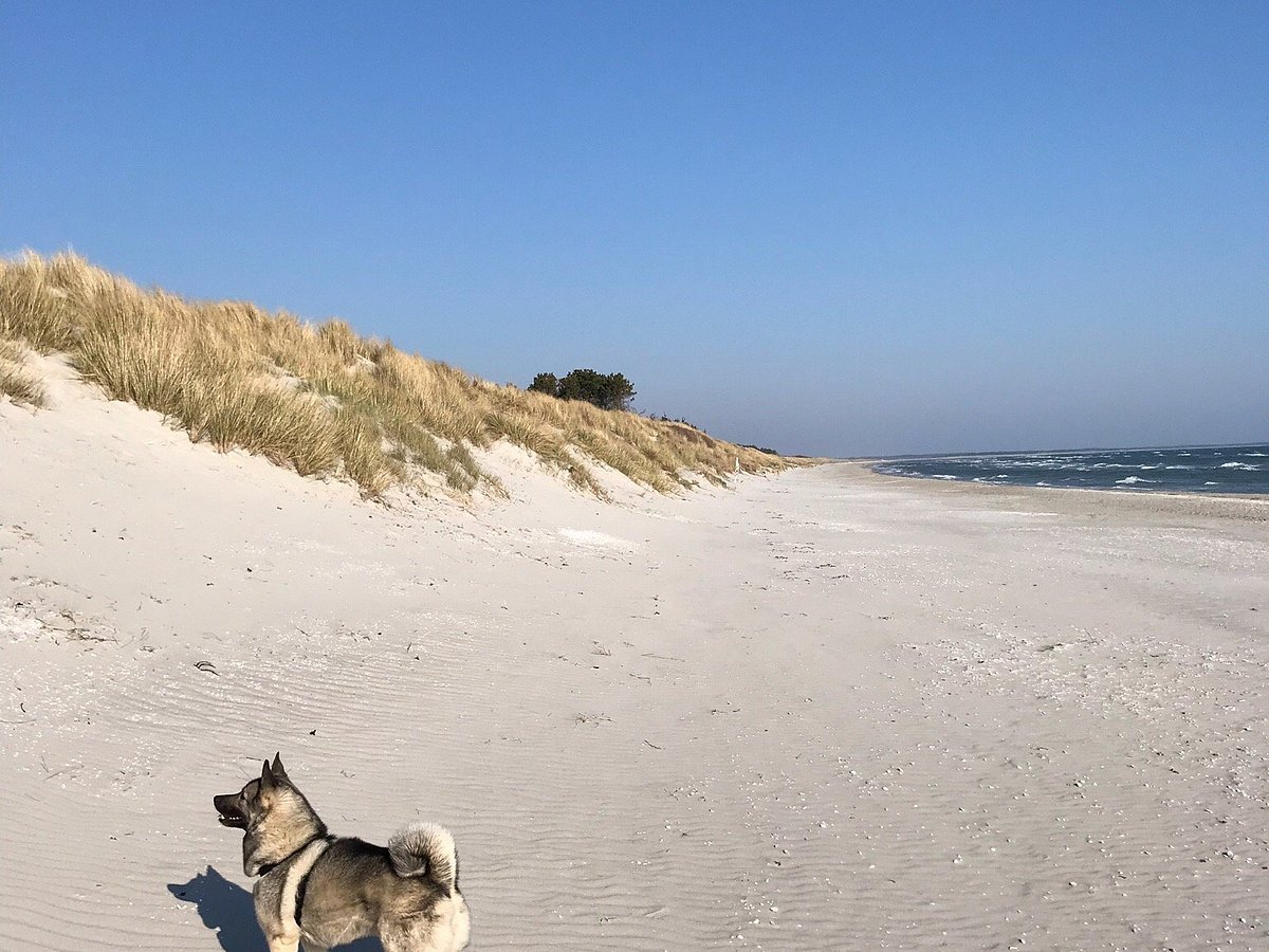 Jerup strand, 10 km von uns entfernt an der dänischen Ostsee